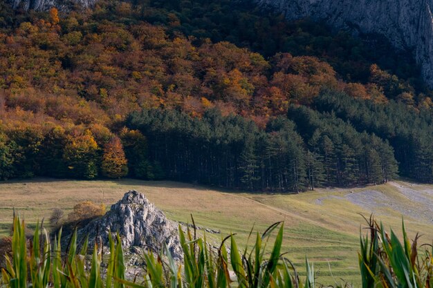 Фото Осенние цвета в горах апусени, румыния