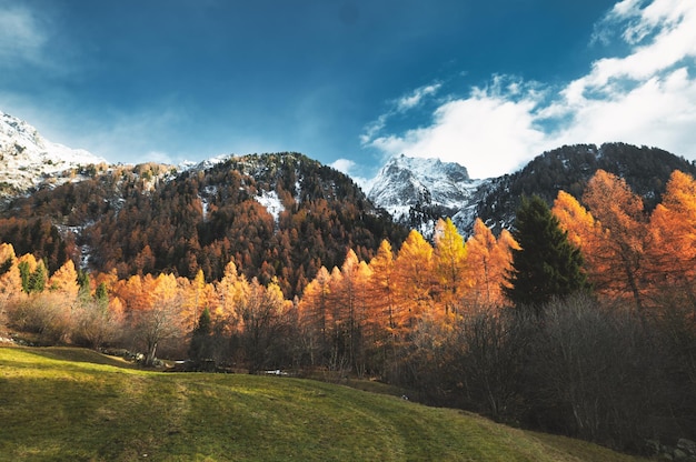 Autumn colors in the mountains on Swiss alps