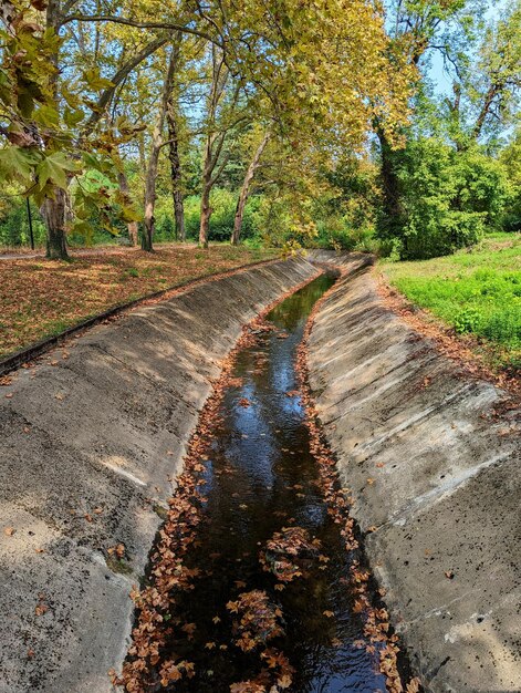 Photo autumn colors in the park