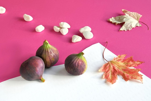 Autumn colors Purple and magenta fig fruits on vibrant fuchsia and white layered paper Off white decorative pumpkins autumn maple leaves