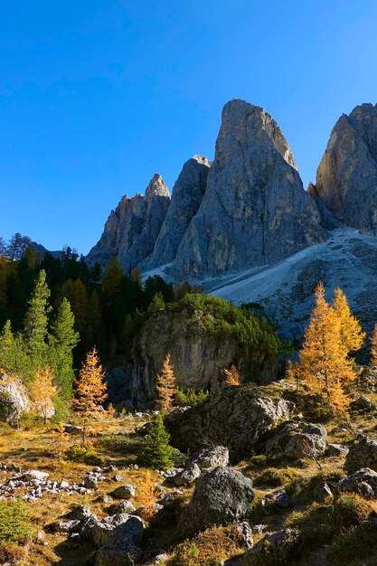 Photo autumn colours in odle group adolf munkel trail dolomites italy                          autumn colors