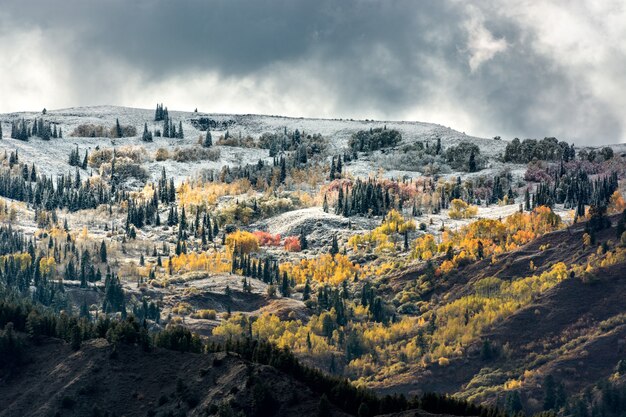 Autumn Colours in Wyoming