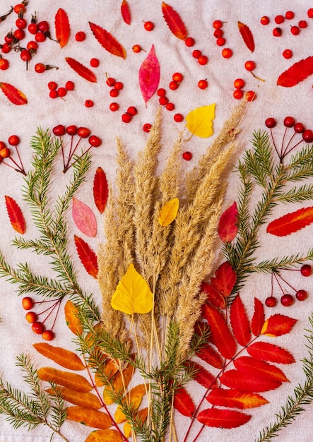 Autumn composition. Autumn colorful leaves and berries on light background. Flat lay, top view