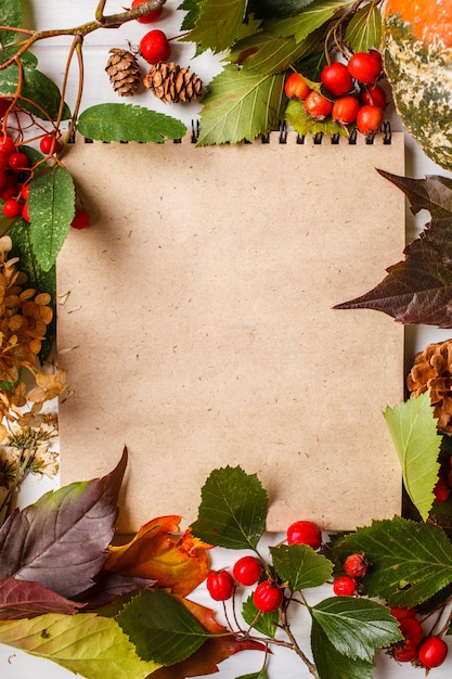 Autumn composition. Autumn leaves, berries and pumpkin on white background, copy space.