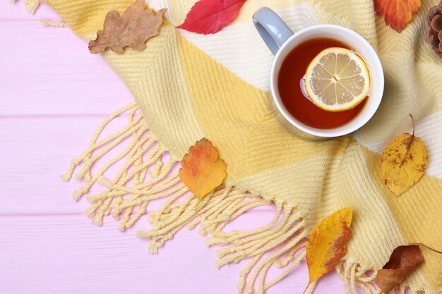 Autumn composition and autumn leaves on a light background closeup