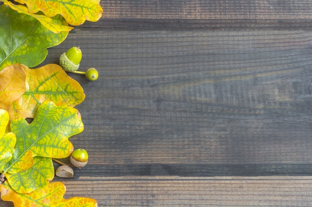 Autumn composition. Border frame of colorful autumn leaves