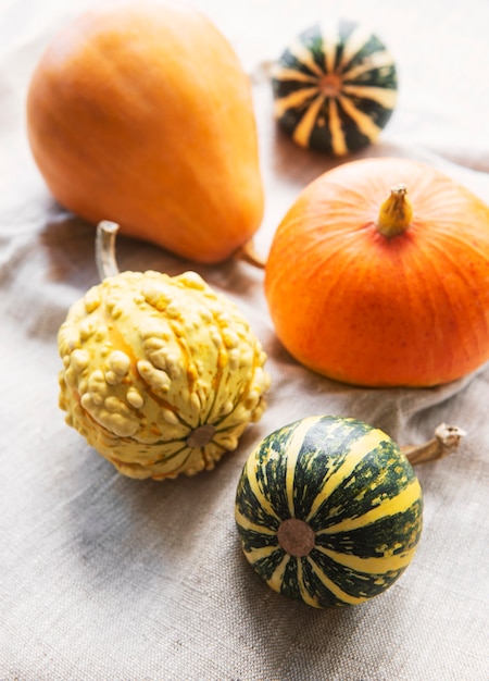 Composizione autunnale, accogliente stagione autunnale, zucche e foglie su sfondo tessile. simbolo della festa del ringraziamento, piatto laico