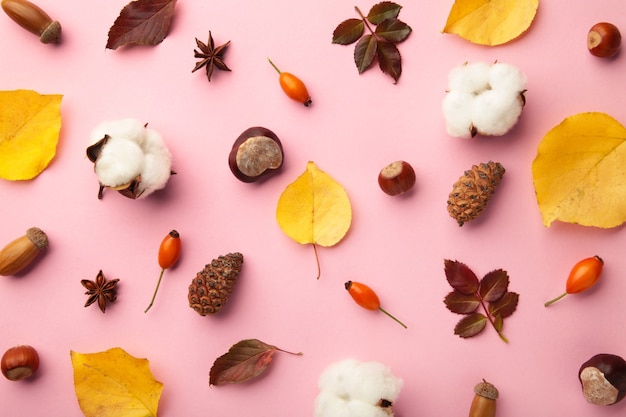 Autumn composition. Dried leaves, flowers, berries on pink background. Thanksgiving day concept. Flat lay, top view, copy space