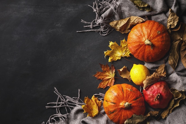 Foto composizione autunnale di foglie e frutti secchi su sfondo scuro vista dall'alto spazio di copia