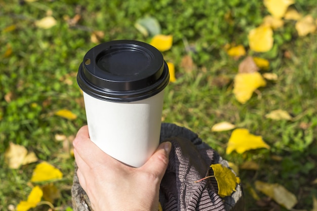 秋の組成物。一杯のコーヒーを持っている女性の手。秋の葉の間を行くコーヒー。秋のピクニックコンセプト。