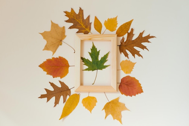 가을 구성 베이지색 배경에 가을 낙엽의 프레임