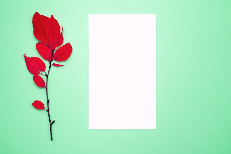 फोटो autumn composition, frame, blank paper. branch with red leaves, plum, on a light green background. 