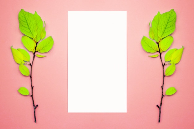 Autumn composition, frame, blank paper. Two branches with light green leaves, plum, on a light pink background. Flat lay, top view, copyspace