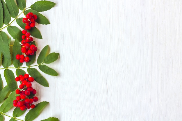 Autumn composition. Frame of leaves, rowan berries on a white wooden table background