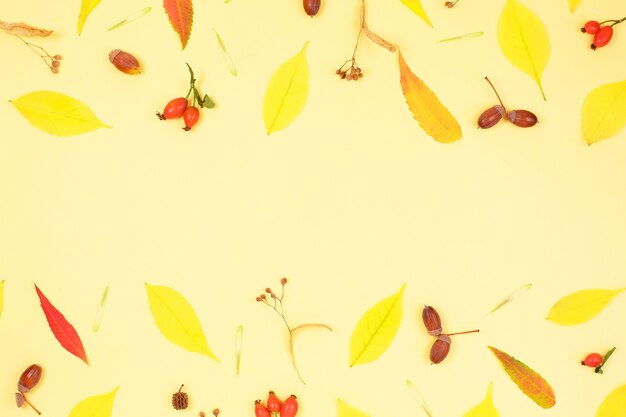Photo autumn composition. frame made of autumn leaves.