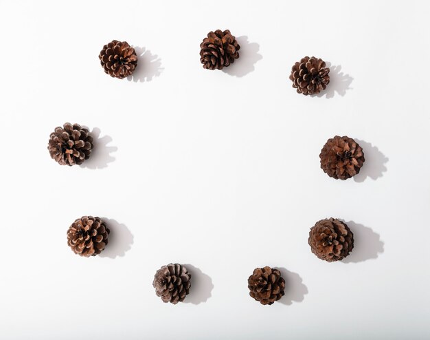 Autumn composition, frame made of pine cones on whitebackground. Flat lay, top view