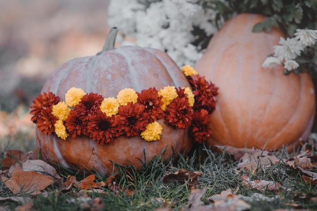 Autumn composition Halloween and Thanksgiving decor Pumpkins