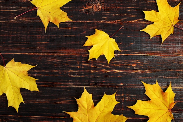 Autumn composition of leaves on dark wooden.
