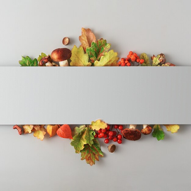 Autumn composition of leaves, mushrooms and berries on a gray background with copy space. Top view.