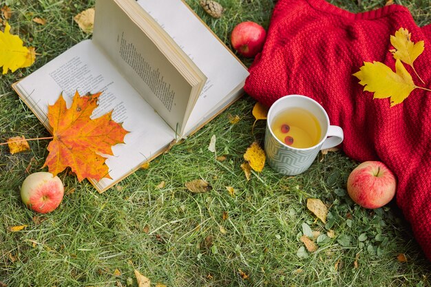 Autumn composition on light nature background open