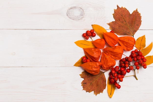 Composizione autunnale di foglie, physalis, rowan su fondo di legno bianco con spazio di copia. autunno, concetti di halloween