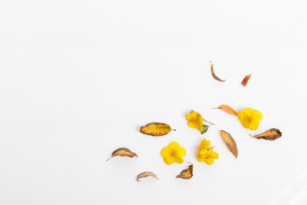 Autumn composition made of autumn dry multi-colored leaves on white wooden background. Autumn, fall concept. Flat lay, top view, copy space