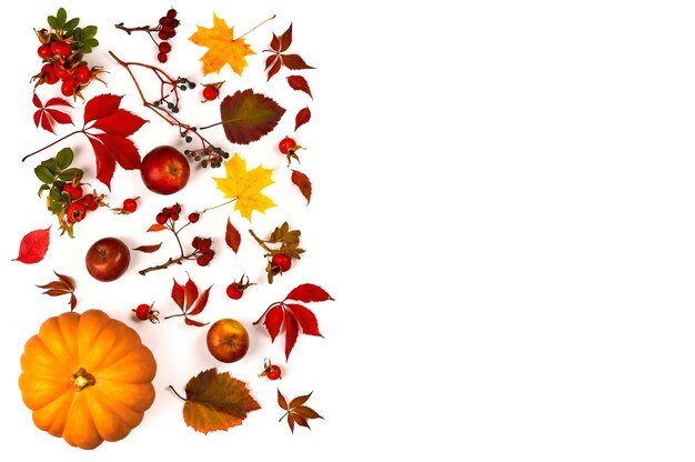 Autumn composition. Made of autumn leaves, berries and pumpkin on white