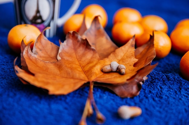 Foto composizione autunnale di foglie d'arancio mandarino e ghiande