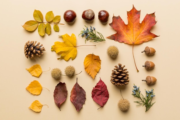 Autumn composition Pattern made of dried leaves and other design accessories on table Flat lay top view