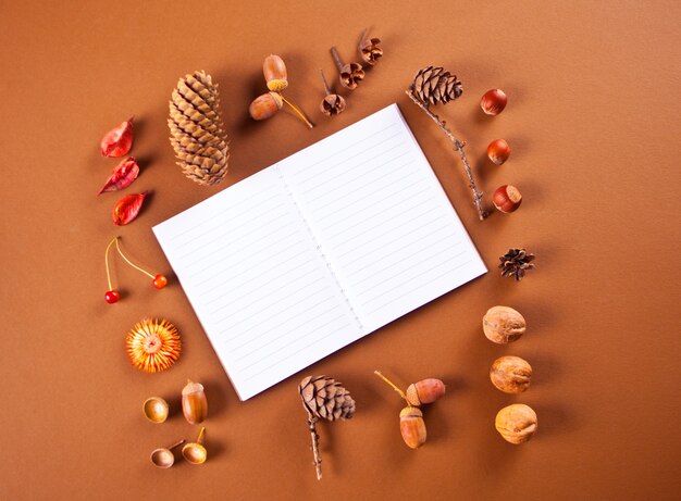 Autumn composition pattern with clear notebook, dry leaves, cones, acorns, berries, nuts.