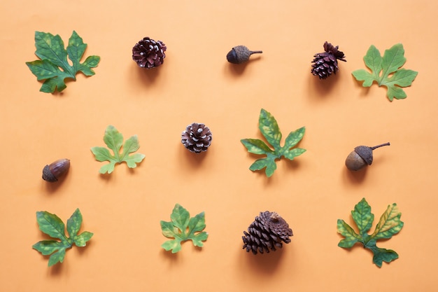 Autumn composition, Plant leaves and pine cones on orange colour