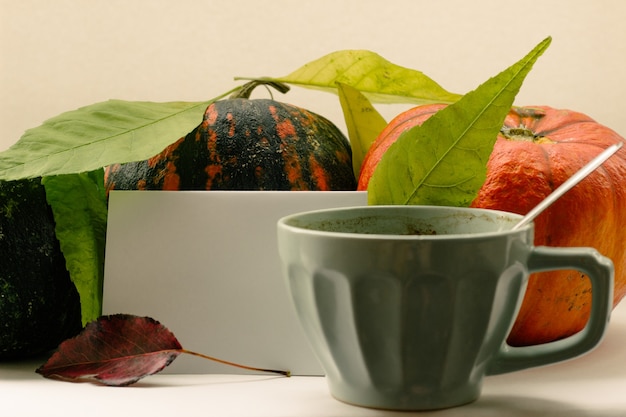 Foto zucca della composizione in autunno e fogliame di autunno su una superficie bianca