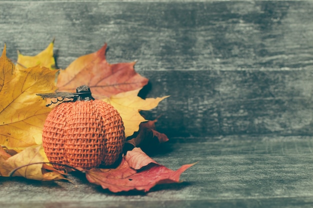 Осенняя композиция. Тыква, сушеные листья на пастельном сером фоне. Осень, осень, концепция хэллоуина. Плоская планировка, вид сверху, копия пространства