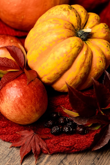 Autumn composition of pumpkins apples rosehips on wooden table Healthy Eating