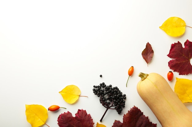 Autumn composition. Pumpkins, dried leaves on pastel gray background. Autumn, fall, halloween concept. Flat lay, top view, square, copy space