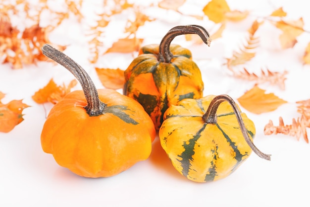 Autumn composition. Pumpkins, dried leaves on white background. Autumn, fall, halloween concept. Flat lay, top view copy space