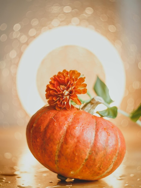 Autumn composition of pumpkins and flowers with place for text Greeting card