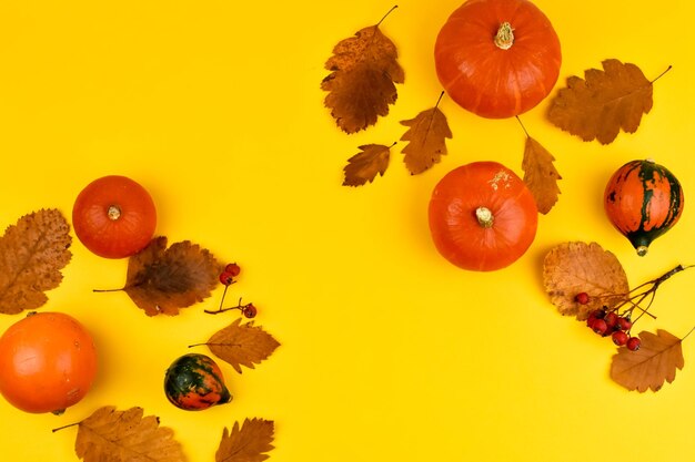 Photo autumn composition pumpkins on a yellow background