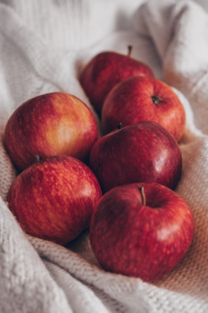 Autumn composition. Red apples in a knitted white sweaters. Quiet cozy homely scene. harvesting, crop, harvest. Concept autumn