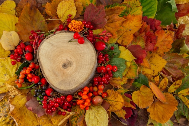 Autumn composition tree stump on a background of colorful autumn leaves and berries flat lay