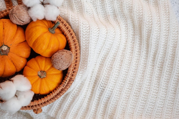 Autumn composition on white knitted blanket