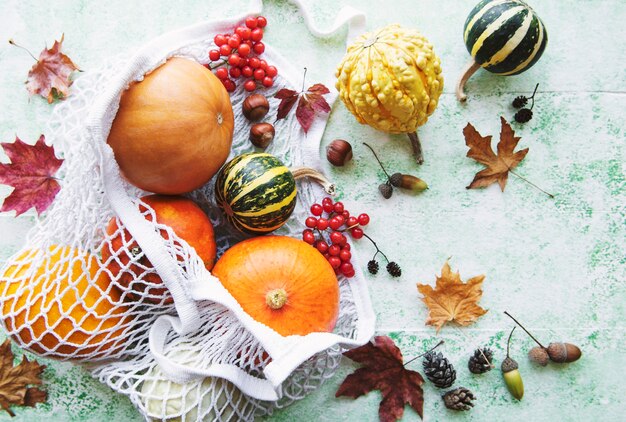 Photo autumn composition with assorted pumpkins in eco string bag, thanksgiving background.