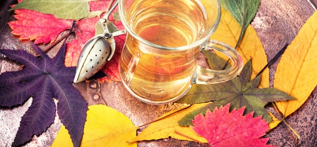 Autumn composition with autumnal tea