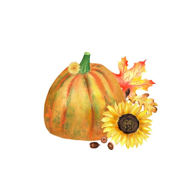 An autumn composition with colorful pumpkin, sunflower, oak and maple leaves marigold and acorns