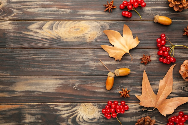 Autumn composition with copy space. Autumn leaves and corn, pine cone, anise star. Flat lay, top view, copy space