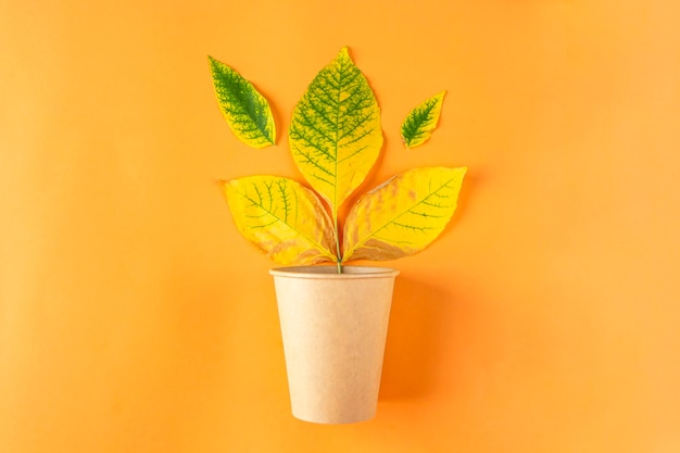 Autumn composition with eco-friendly paper cup and yellow fall dry leaves on orange background. Minimal, stylish, creative fall still life. Flat lay, copy space.