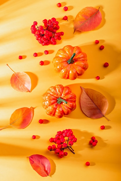 Фото Осенняя композиция с листьями, тыквами, ягодами рябины на желтом