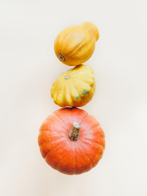 Autumn composition, with pumpkins, squash.