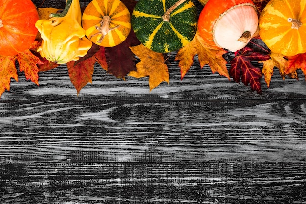 Foto composizione autunnale con zucche con foglie d'autunno