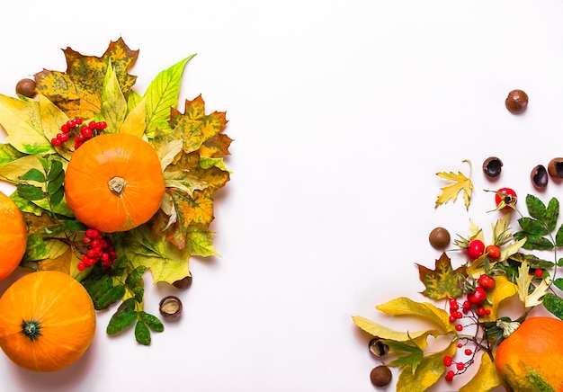 Photo autumn composition with pumpkins